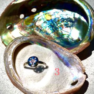 Sand Dollar Sterling Silver Ring